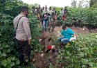 Sesosok Mayat di Temukan Tergeletak di Kebun di Daerah...