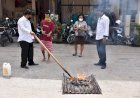 Setengah Kilogram Narkoba Jenis Ganja di Musnahkan Oleh Mapolresta Jayapura Kota