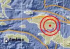 Gempa M 5,2 Di Papua Barat, Tidak Berpotensi Tsunami