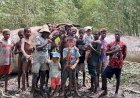 Ikan Raksasa Sepanjang 14 Meter Terdampar dan Mati di Muara Pesisir Asmat
