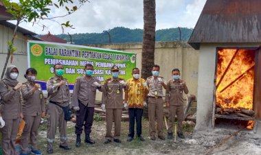 Karantina Jayapura. Memusnakan belasan unggas yang dimasukan secara  ilegal