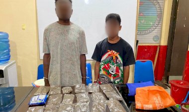 Resnarkoba Polresta Jayapura kota, Amankan Empat Pelaku Beserta Puluhan Paket Ganja