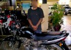 Hendak Transaksi Ganja, Tim Opsnal Reskrim Ciduk Seorang Penadah Motor Curanmor