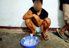 Penjual Miras Lokal Jenis Cap Tikus di Wamena di Rngkus Polisi