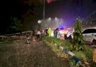 Cuaca Buruk, Sebatang Pohon Tumbang Menutup Jalan Sentani
