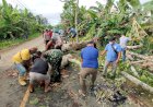Sinergitas TNI-Polri Bersama Warga Bersihkan Pohon Tumbang di Muaratami
