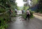 Polsek dan Koramil Japsel Bersinergi Bersihkan Pohon Tumbang di Jalan Alternatif
