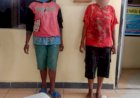 Polres Jayawijaya Amankan Dua Pelaku Penjual Minuman Keras Lokal Jenis Cap Tikus