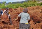Sampaikan Pesan Kantibmas, Bhanintantibmas Polsek Kamu Sambangi Warga Kampung Di Dogiyai