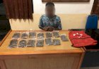 Pelaku Penyalahgunaan Ganja Dipasar Youtefa Berhasil Diamankan Resnarkoba Polda Papua