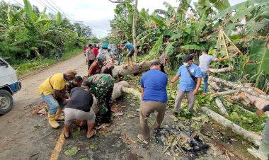 Sinergitas TNI-Polri Bersama Warga Bersihkan Pohon Tumbang di Muaratami