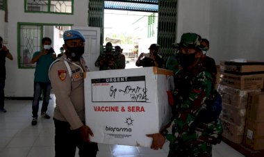 Sebanyak 1400 Vaksin Sinovac Tiba di Kabupaten Kepulauan Yapen