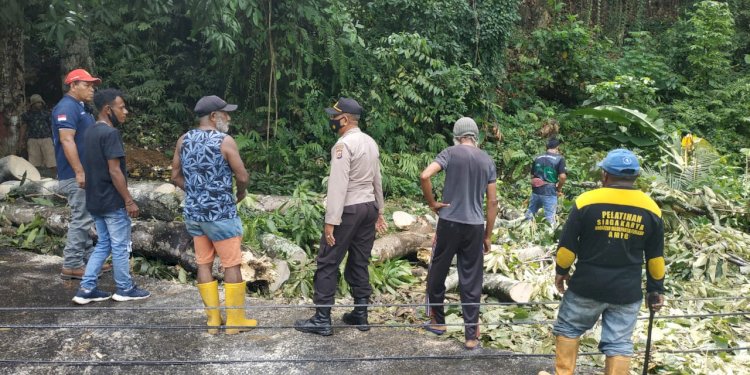 Aparat Kepolisian bersama masyarakat saat menyingkirkan dahan pohon yang sedang rubuh dipolimak IV Jayapura/ Net