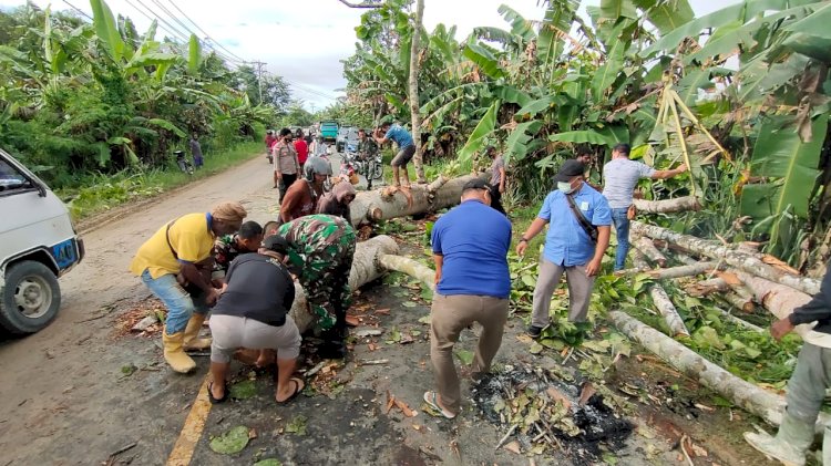 Aparat TNI-Polri Bersama Warga saat membersihkan Pohon Tumbang di Muaratami