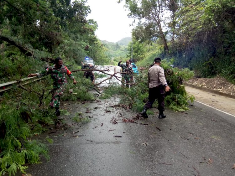 Koramil dan Babinsa saat bersinergi membersikhkan pohon yang rubuh