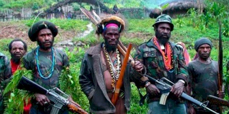 Ilustrasi Kelompok Kriminal Bersenjata (KKB) di Papua/Ist