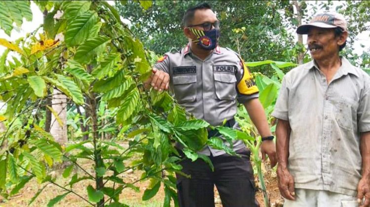 Bripka Jasman Tristanto ketika sedang bersama petani di Kebun Kopi/ Ist