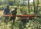 Personel Satgas TMMD Boven Digoel Dibantu Masyarakat Angkut Kayu ke Sasarab