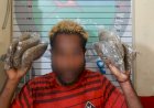 Polisi Menangkap Seorang Pemuda, lantaran Kedapatan Bawa Ganja