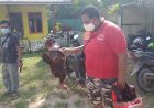 Polsek Merauke Kota Grebek Judi Adu Ayam di Arafura Buti