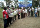 Ratusan Ikan Arwana di Lepas di Perairan Rawa Biru