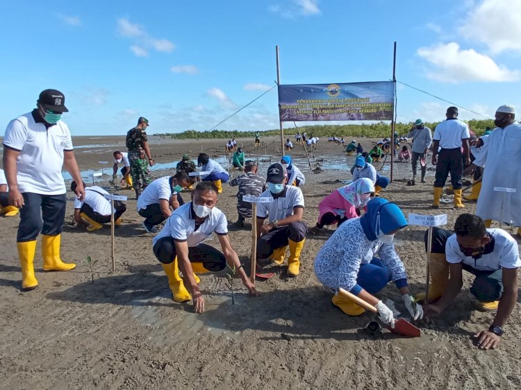 Danlantamal XI Merauke Brigjen TNI (Mar) Wurjanto, M.Han saat melakukan penanaman Mangrove di pantai Lampu Satu Merauke