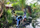 Sebagai Bentuk Edukasi, HMS Unmus Lakukan Pembersihan Drainase Secara Berkala