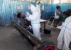 4 ABK Kapal Perintis Sabuk Nusantara Dinyatakan Positif di Pelabuhan Jayapura