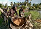 Babinsa Kimaam Bantu Warga Mengelolah Saripati Pohon Sagu Menjadi Makanan Pokok