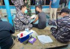 TNI AL Jemput Bola Lantamal XI Merauke Vaksin Nelayan yang Baru Sandar dan Persiapan Berangkat Melaut