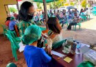Ini total Hari Keempat Gebyar Vaksin warga kota Jayapura