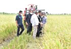 Berkunjung ke Merauke, Mentan Salurkan Bantuan Senilai Rp 19,43 Miliar