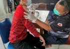 TNI-AL Lantamal XI Merauke Terus Gencar Laksanakan Serbuan Vaksinasi Masyarakat Maritim