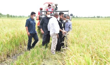 Berkunjung ke Merauke, Mentan Salurkan Bantuan Senilai Rp 19,43 Miliar