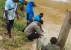 Program KASUARI Sat Noken Polres Boven Digoel Bersama Dinas TPHPP Lakukan Penebaran Bibit Ikan Rawa di Alam Bebas
