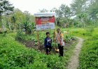Laksanakan Program Kasuari, Binmas Noken Tinjau Perkembangan Kebun Milik Salah Seorang Warga