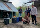 Polres Boven Digoel Grebek Pembuatan Mirasn Lokal Jenis Sopi di Perumahan Ambonggo