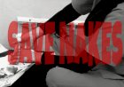 Perawat di RSUD Merauke Terkena Sabetan Parang, dan Nyaris Menjadi Korban Pemerkosaan Saat Sedang Bertugas