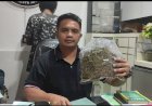 Warga Furia  Ditetapkan Tersangka Atas Kepemilikan Ganja Seberat 265,7 Gram