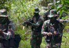 Pendekatan Baru Kejar KKB Papua, Polri Ganti Nemangkawi jadi Damai Cartenz