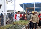 Dukung Program Petani Milenial Jokowi, Pemda Fakfak Sinergi dengan Papua Muda Inspiratif 