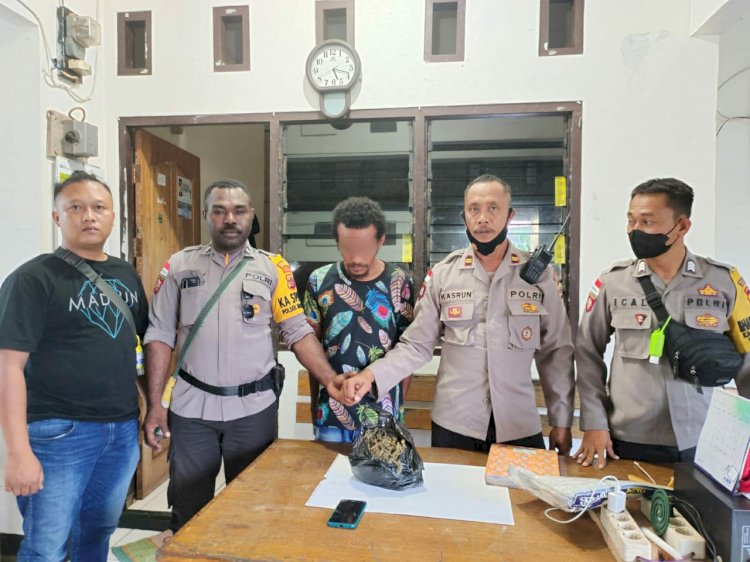 Sinergitas TNI - Polri Amankan Seorang Pria  Saat Mengambil Ganja di Batas Negara RI-PNG