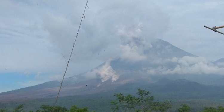 Penampakan muntahan awan panas Gunung Semeru, Kabupaten Lumajang, Jawa Timur/Ist