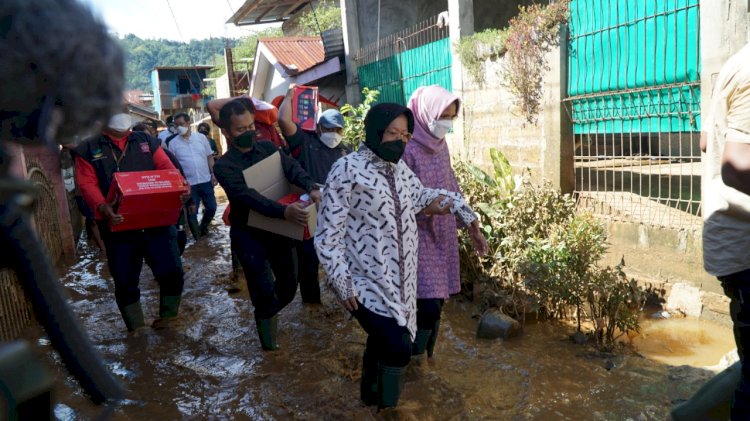 Menteri Sosial Tri Rismaharini/istimewa