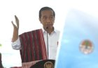 Jokowi Wajibkan Penerima SK Hutan Sosial hingga Hutan Adat dan TORA Tanam Pohon Berkayu
