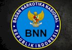 Data BNN, Di Seluruh Indonesia Ada 8.691 Titik Rawan Narkoba