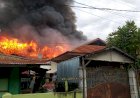10 Petak Kamar Kos dan Satu Unit Rumah Pribadi Habis Dilahap Si Jago Merah