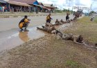 Bintara Remaja Baru Polres Boven Digoel Jalani Pengenalan Medan dan Kantor Pemerintah