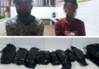 Di Perbatasan RI-PNG, Dua Orang Diamankan Beserta Barang Bukti Ganja