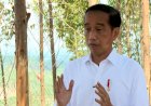 Hitungan Sementara Jokowi, Rp 466 Triliun Habis untuk Bangun IKN Nusantara